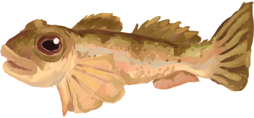 Rustgill