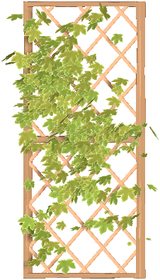 Trellis Wall