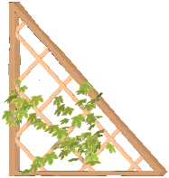 Triangular Trellis Wall 1