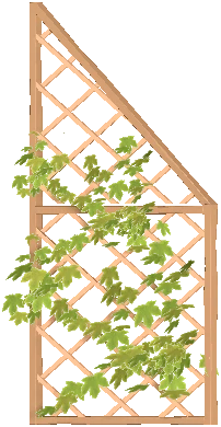 Triangular Trellis Wall 2