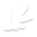 飛行Lv.2