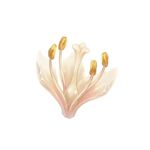 몽환 장미 꽃술