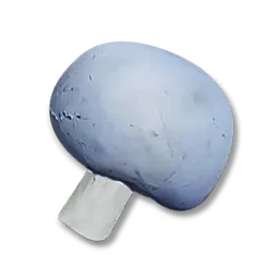 Fongus bleu