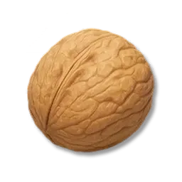 Noix