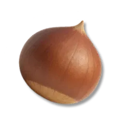Kastanie