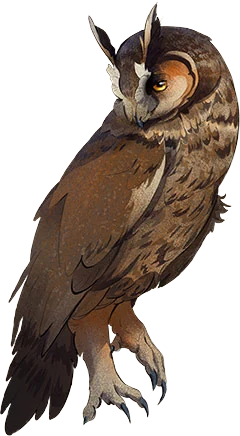 Long-Eared Owl