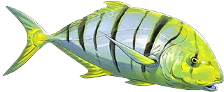 Golden Trevally