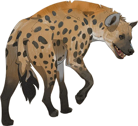 Spotted Hyena