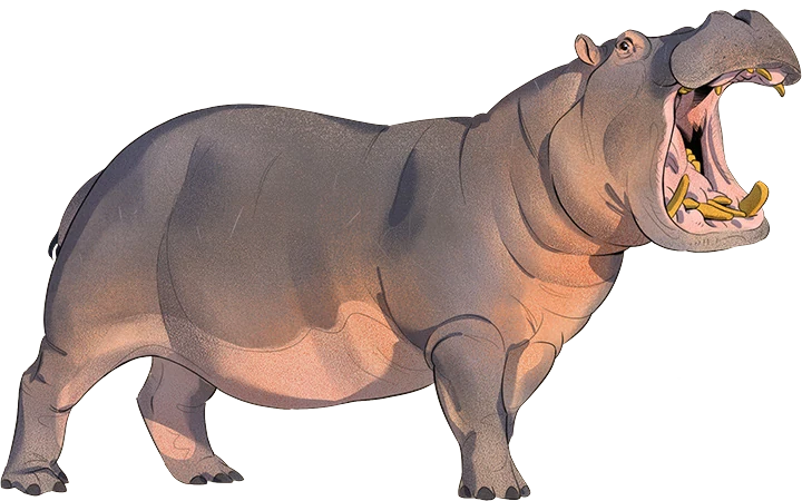 Common Hippopotamus