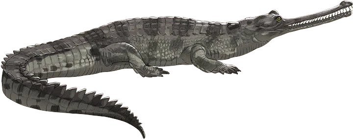Gharial