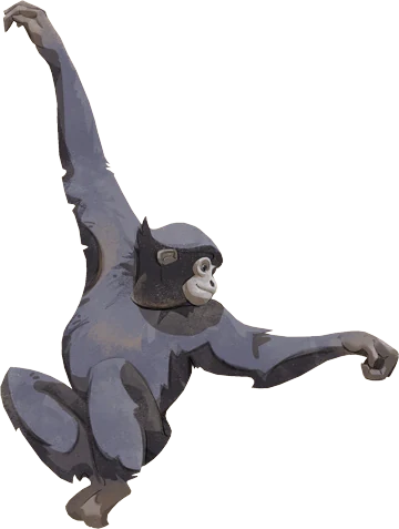 Siamang