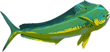 Dolphinfish