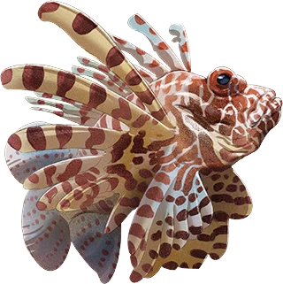 Red Lionfish