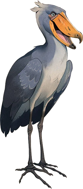 Shoebill