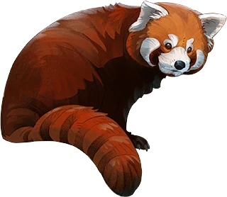 Red Panda