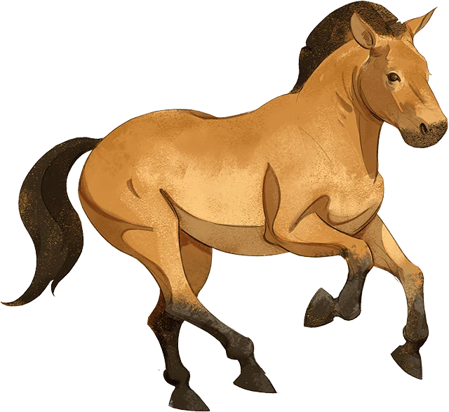 Przewalski's Horse