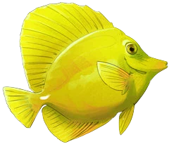 Yellow Tang