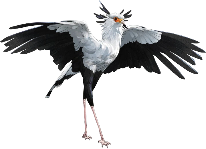 Secretarybird