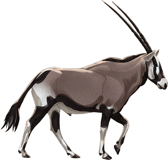 Gemsbok