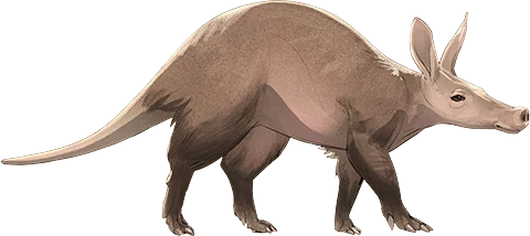 Aardvark
