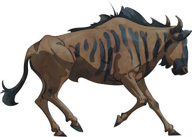 Blue Wildebeest