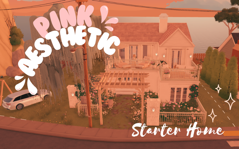 Pink Aesthetic Starter