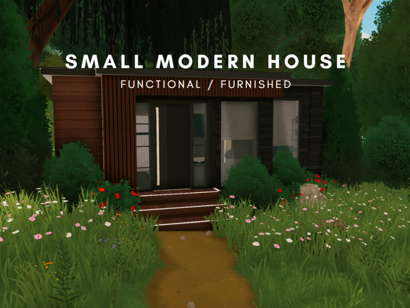 Small Modern House