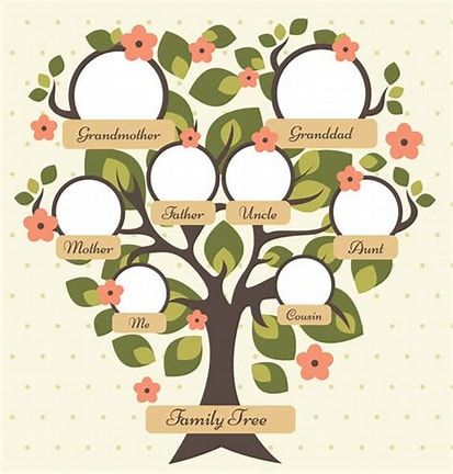 Full Circle Lifespans