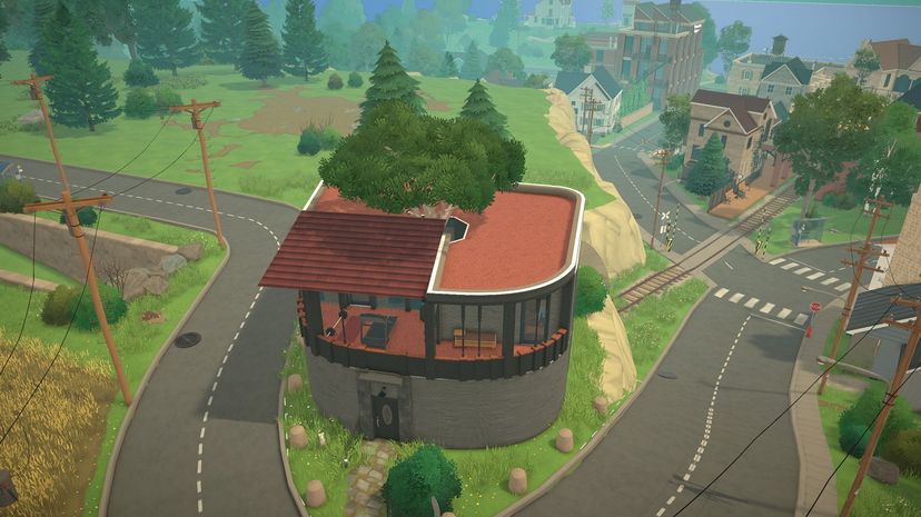 A house built around a tree