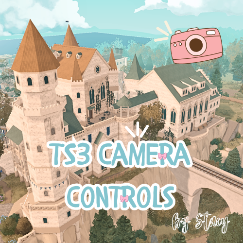 TS3 Camera Controls