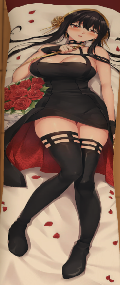Anime and Video Game Dakimakura/Body Pillows
