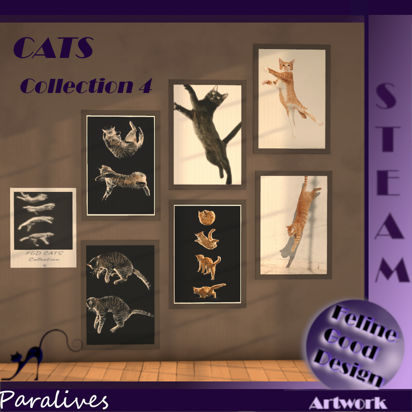 FGD CATS Collection 4