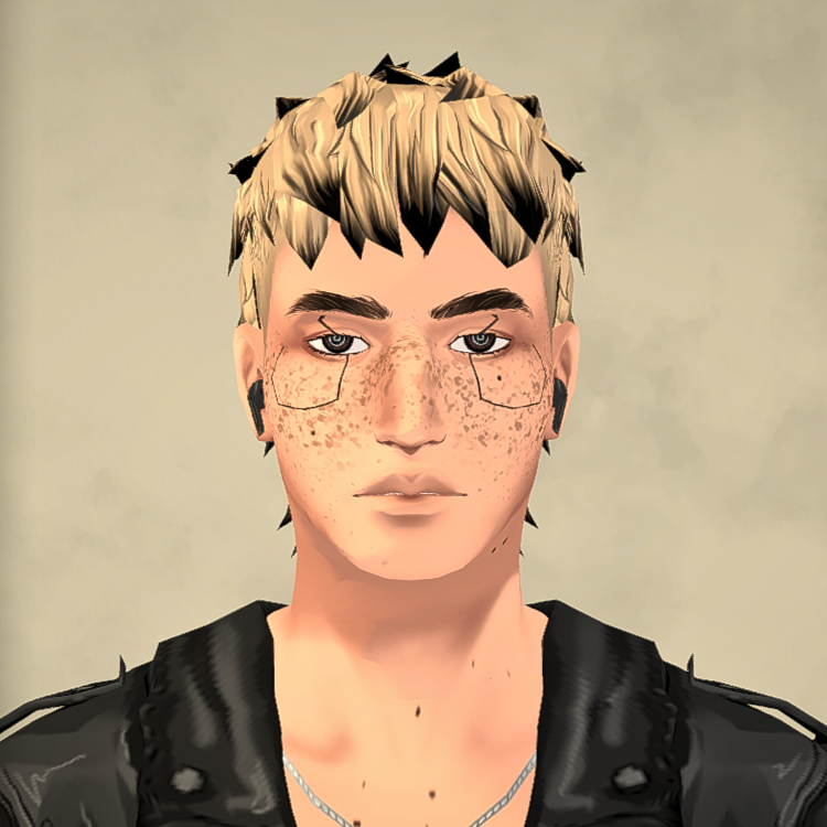 Facial Cybernetics