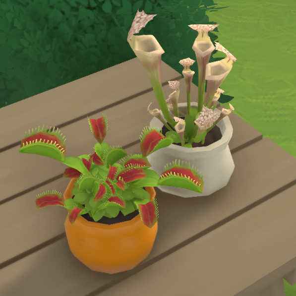 Carnivorous Plants