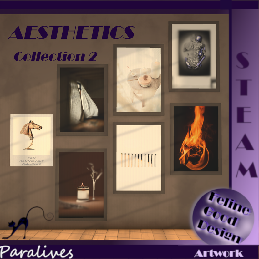FGD AESTHETICS Collection 2