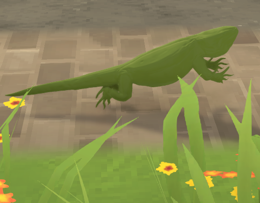 Bearded Dragon