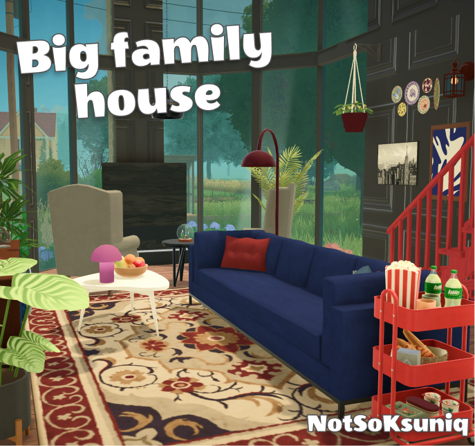 Big Family House