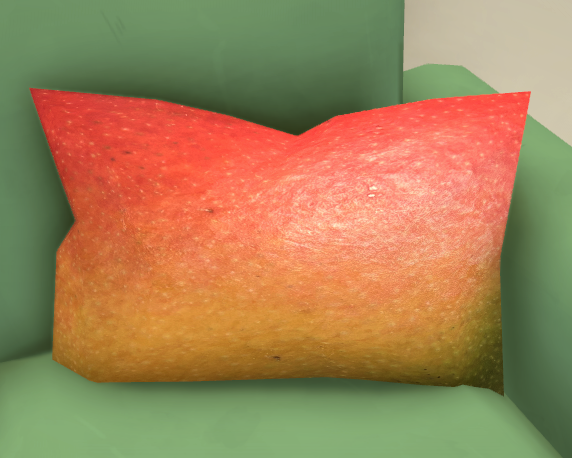 Mango Pillow