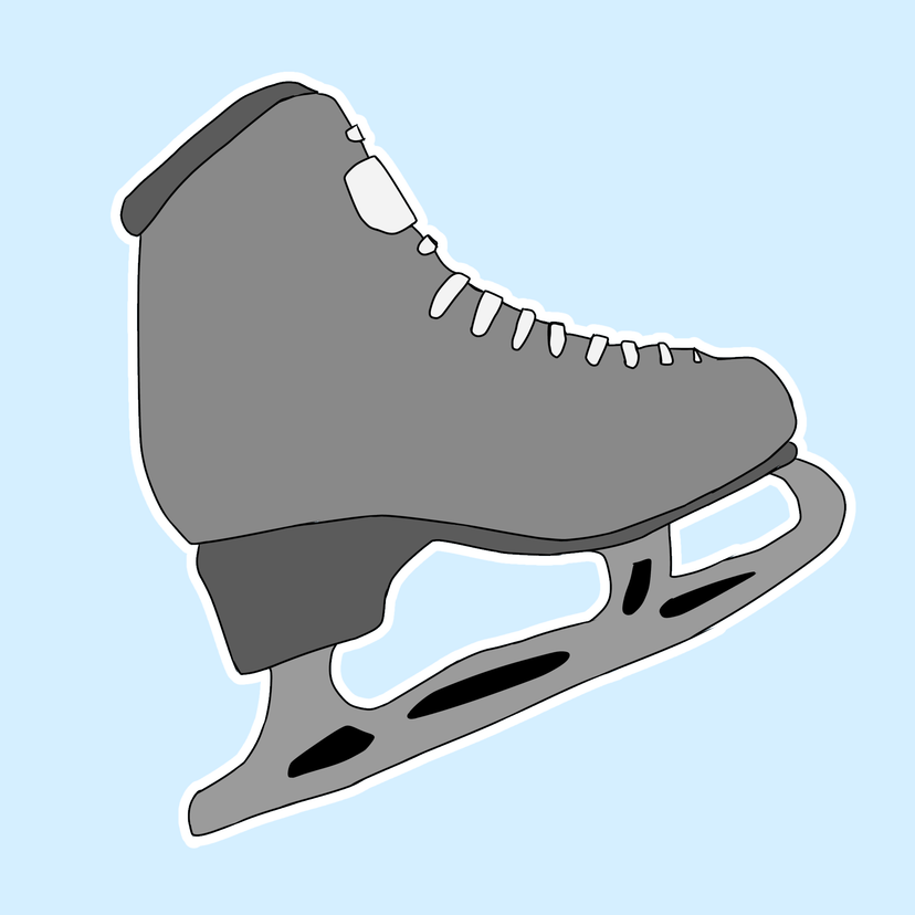 Figure Skater Career