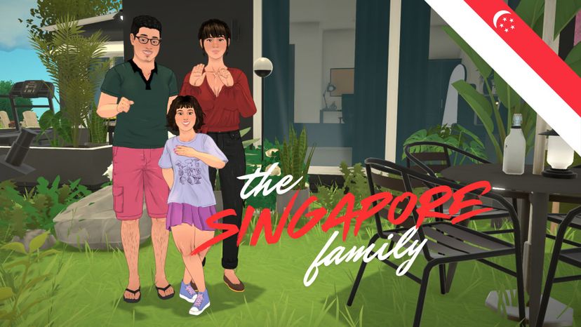 The Singaporean Household