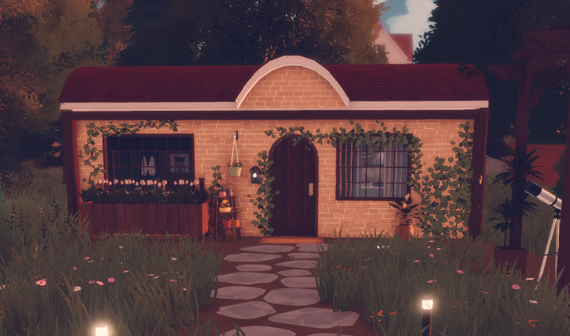 ParalivesEmmy's Micro home challenge