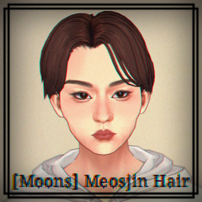 [Moons] Meosjin Hair