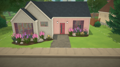Pink House
