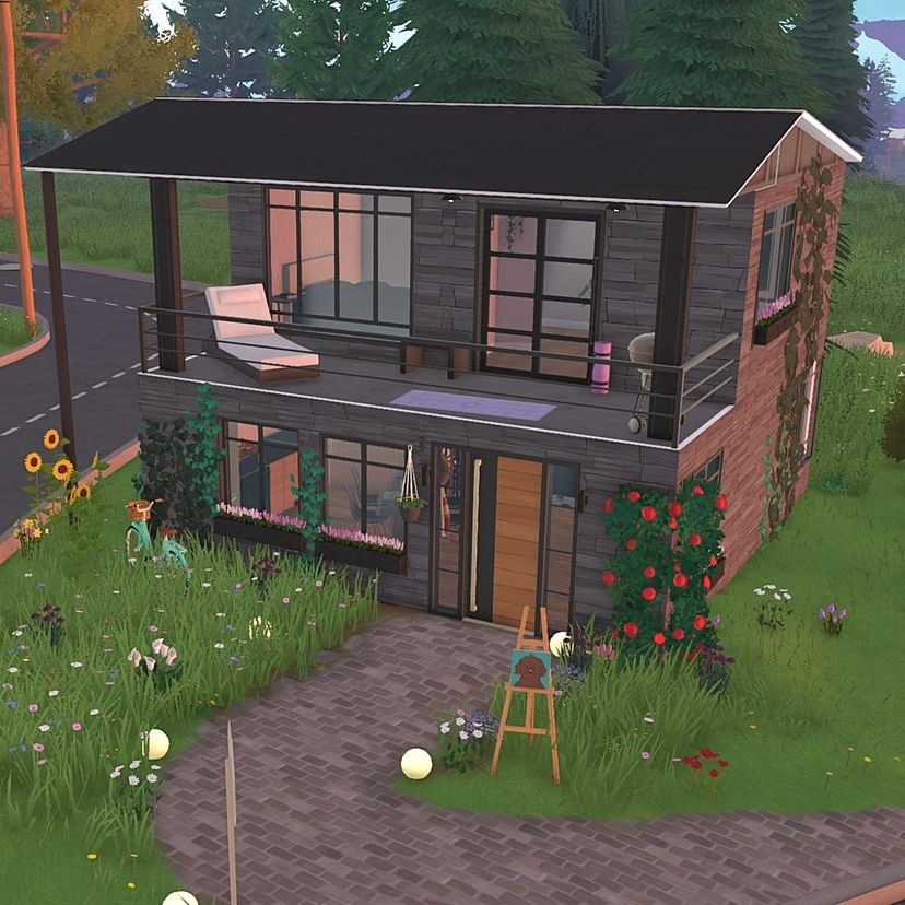 Modern Starter / Tiny Home