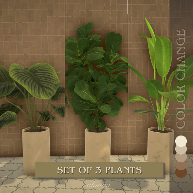 Set of 3 Plants