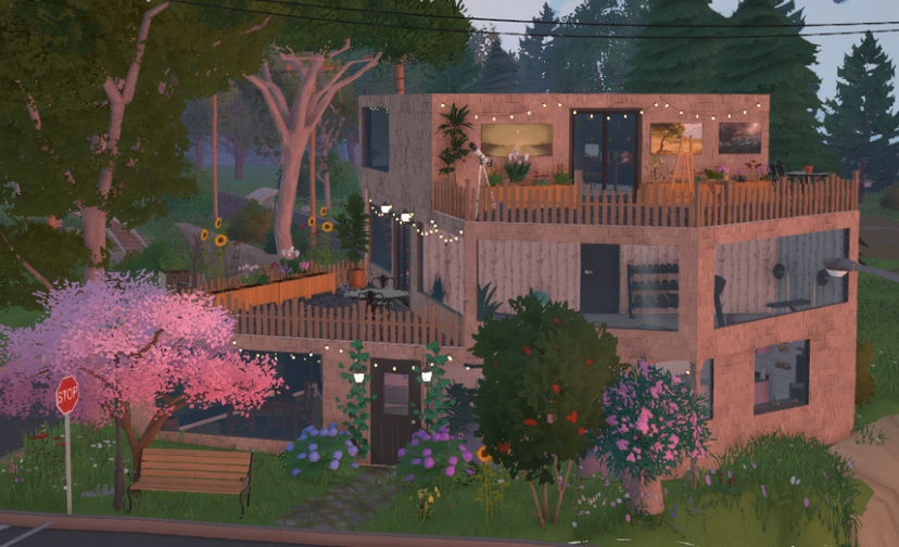 Problematic house