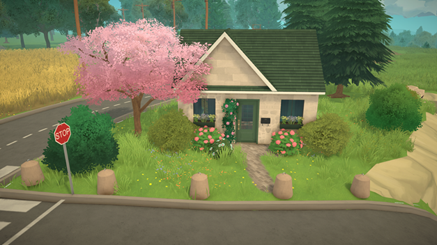 Cute starter house