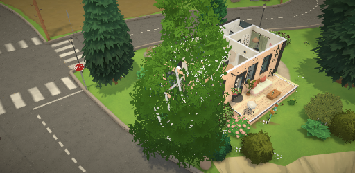Cozy Modern Tiny Studio