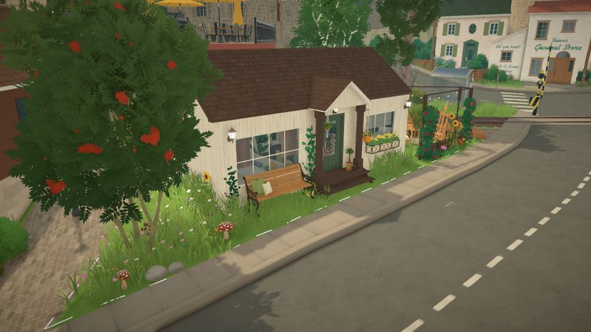 Tiny Cozy House