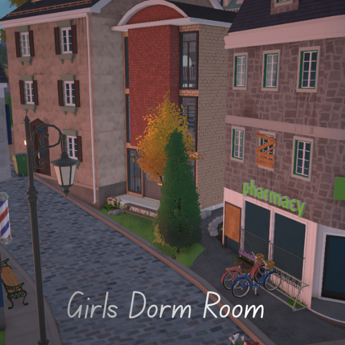 Girls Dorm Room